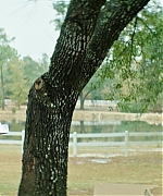 DCBR00000466.jpg