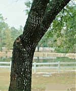 DCBR00000468.jpg
