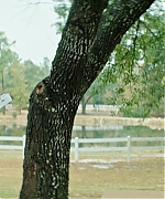 DCBR00000470.jpg