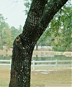 DCBR00000472.jpg