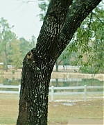 DCBR00000474.jpg