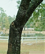 DCBR00000477.jpg