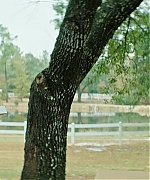 DCBR00000482.jpg
