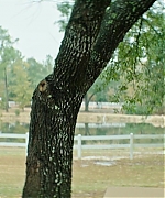 DCBR00000485.jpg