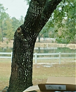 DCBR00000489.jpg