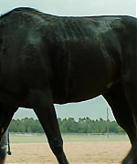 DCBR00000662.jpg